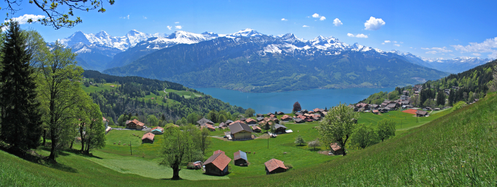 Naturbestattung in der Schweiz